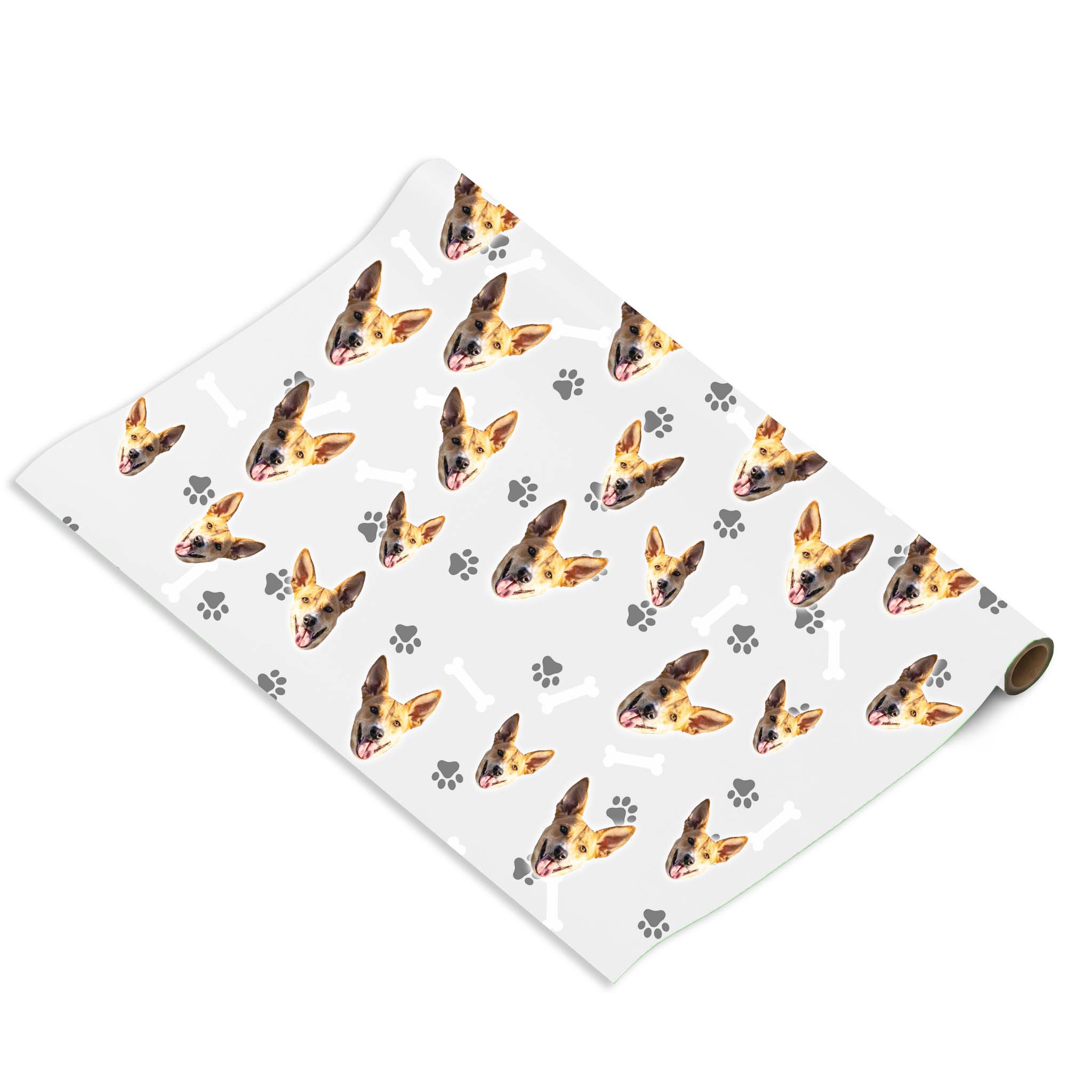 הכלב שלי על נייר עטיפה