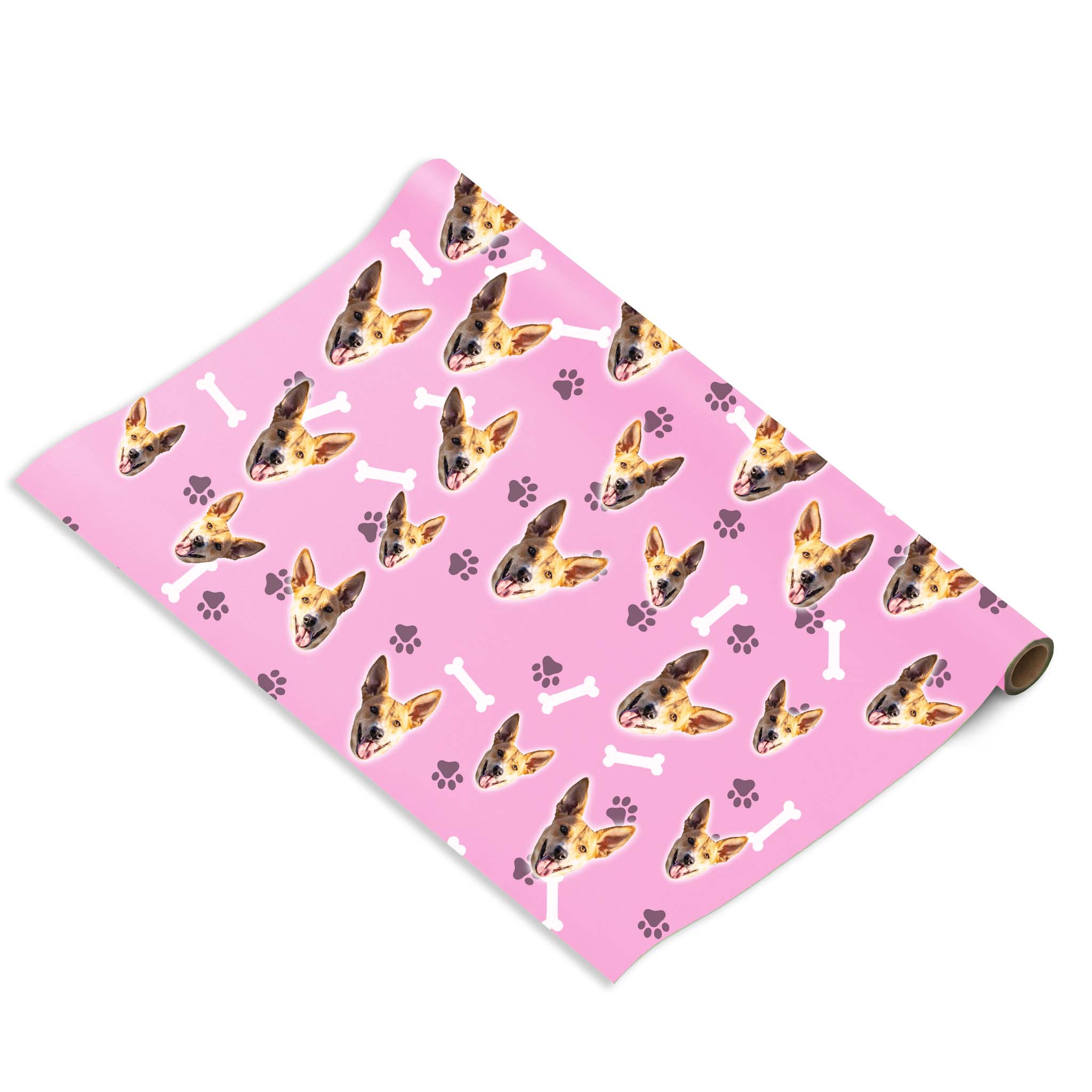 הכלב שלי על נייר עטיפה