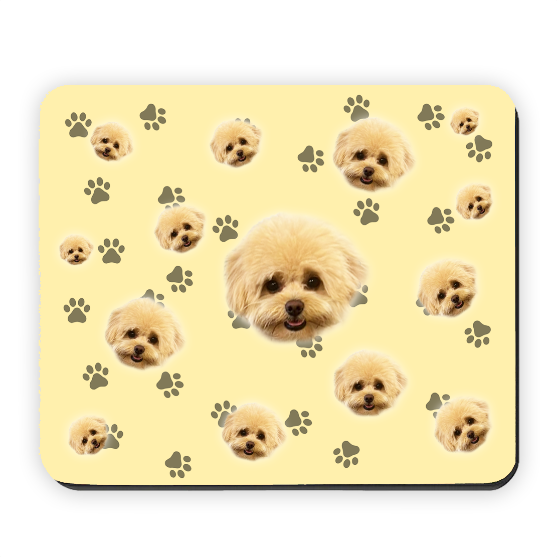 הכלב שלי על פד לעכבר