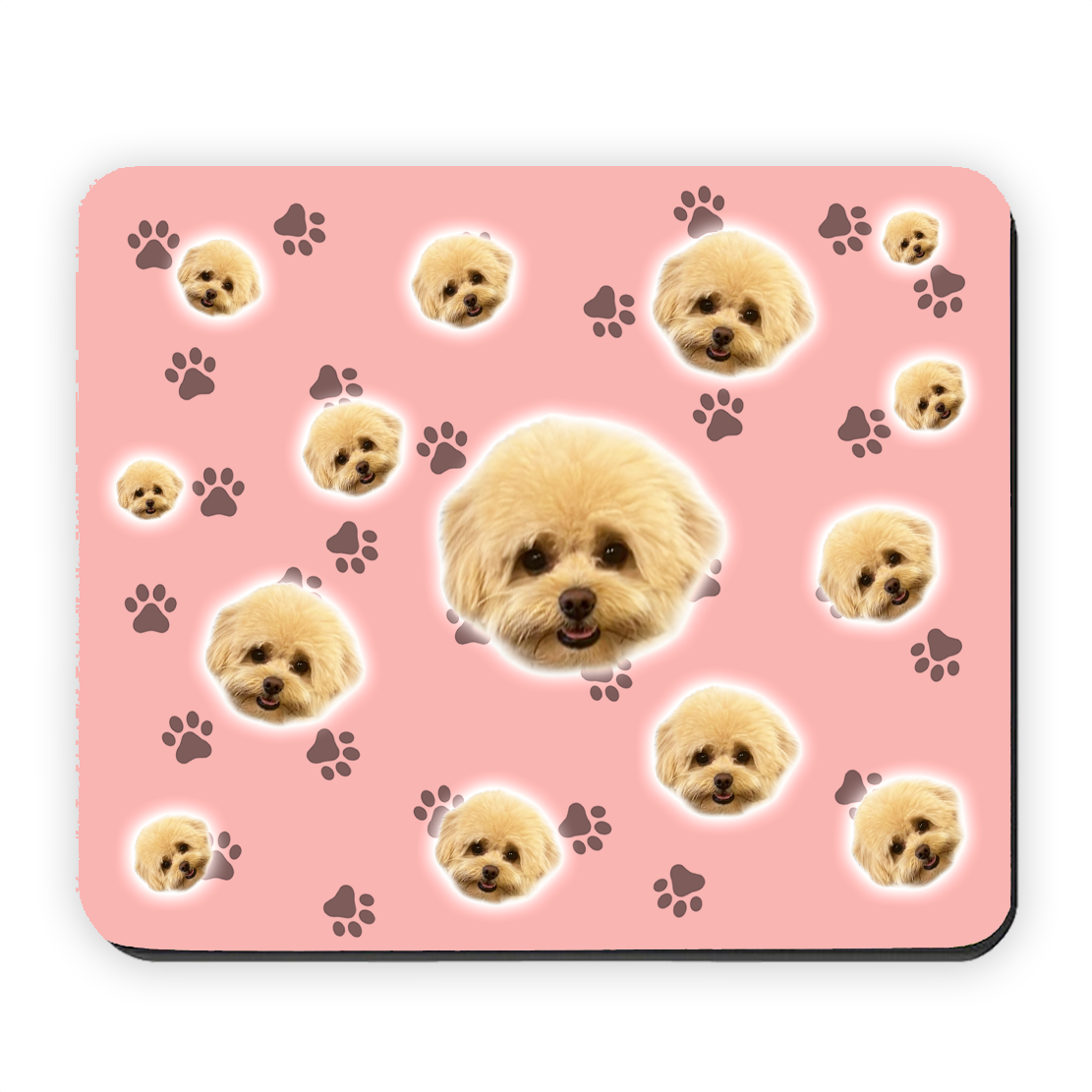 הכלב שלי על פד לעכבר