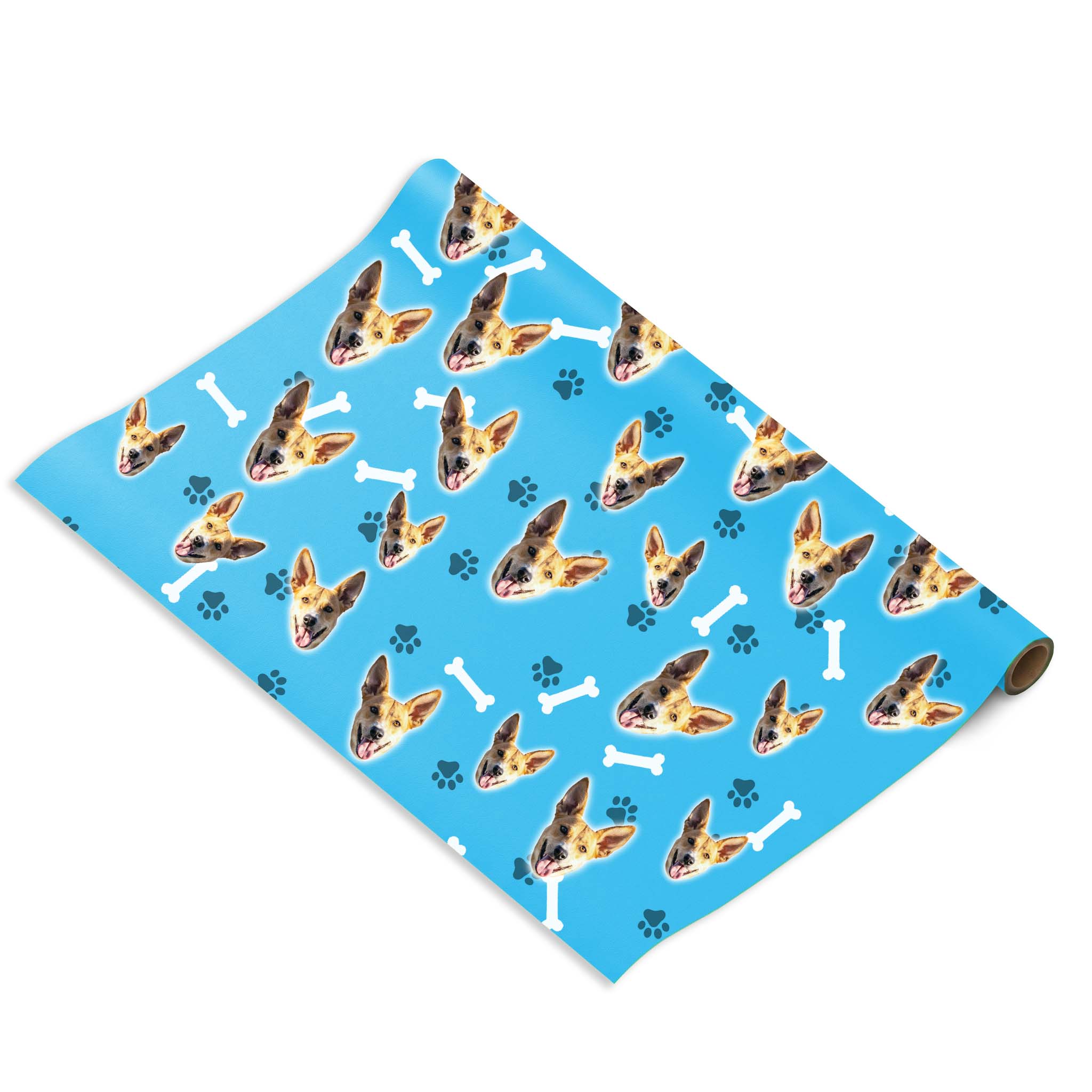 הכלב שלי על נייר עטיפה