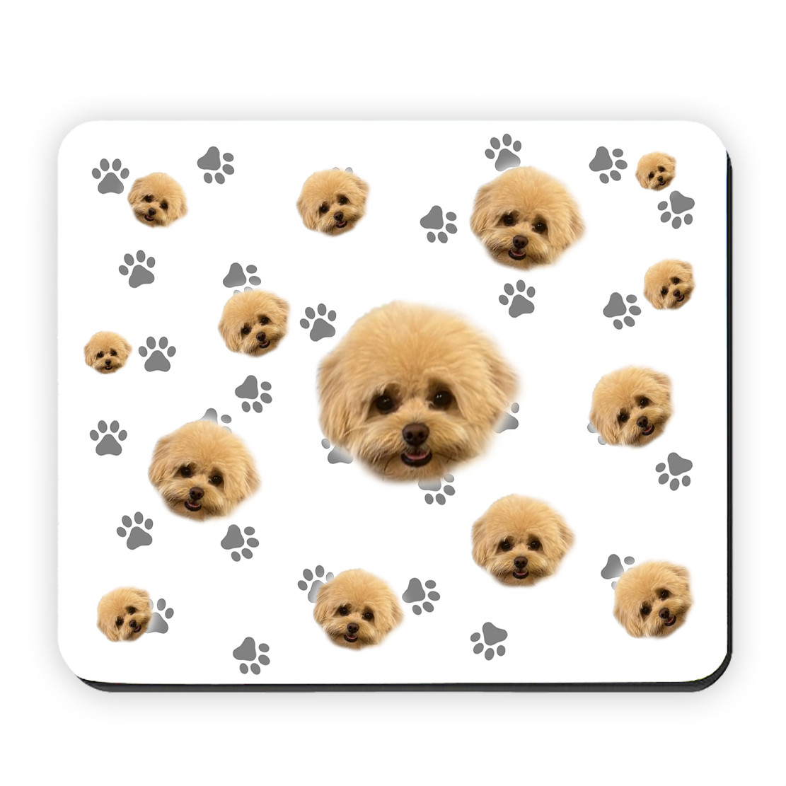 הכלב שלי על פד לעכבר