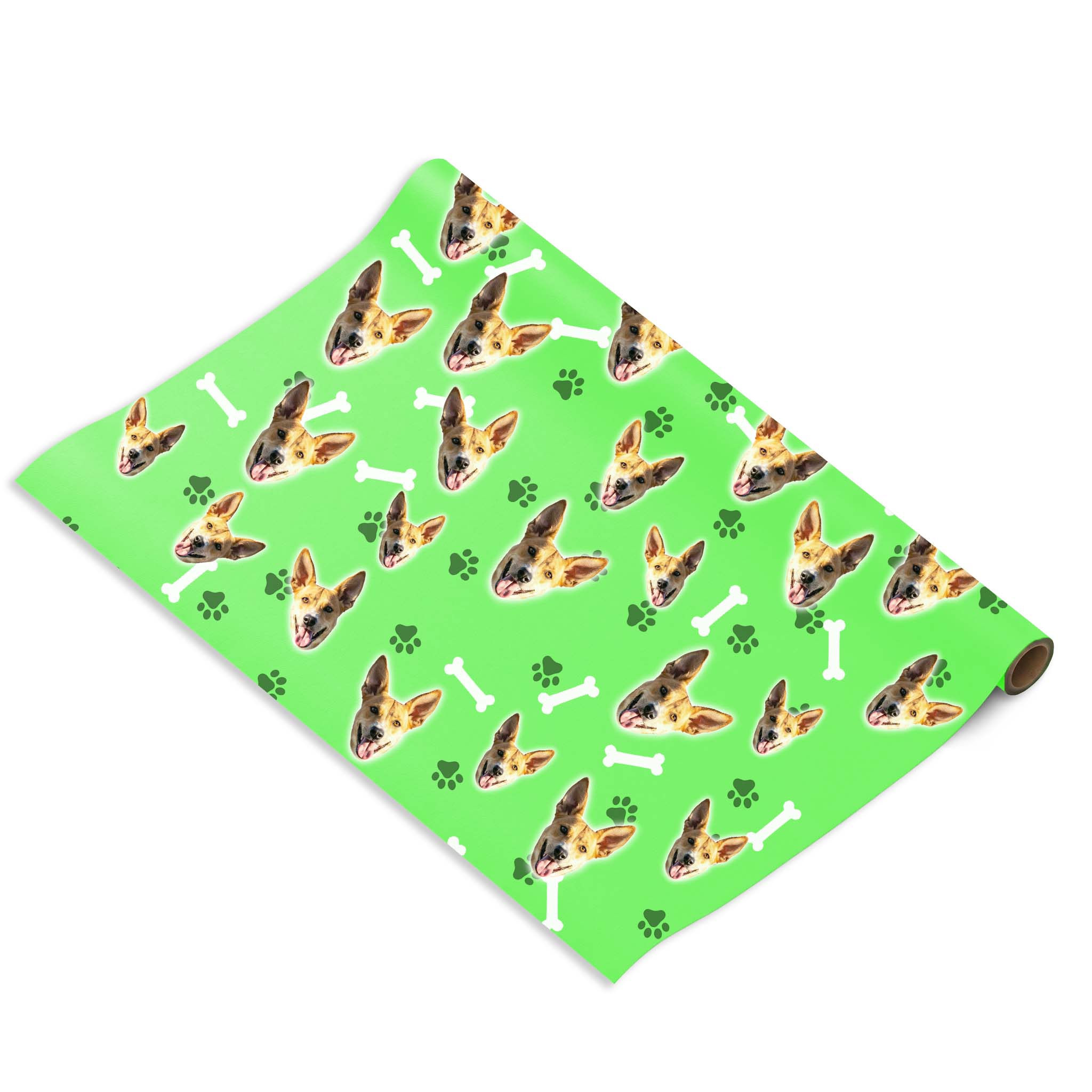 הכלב שלי על נייר עטיפה