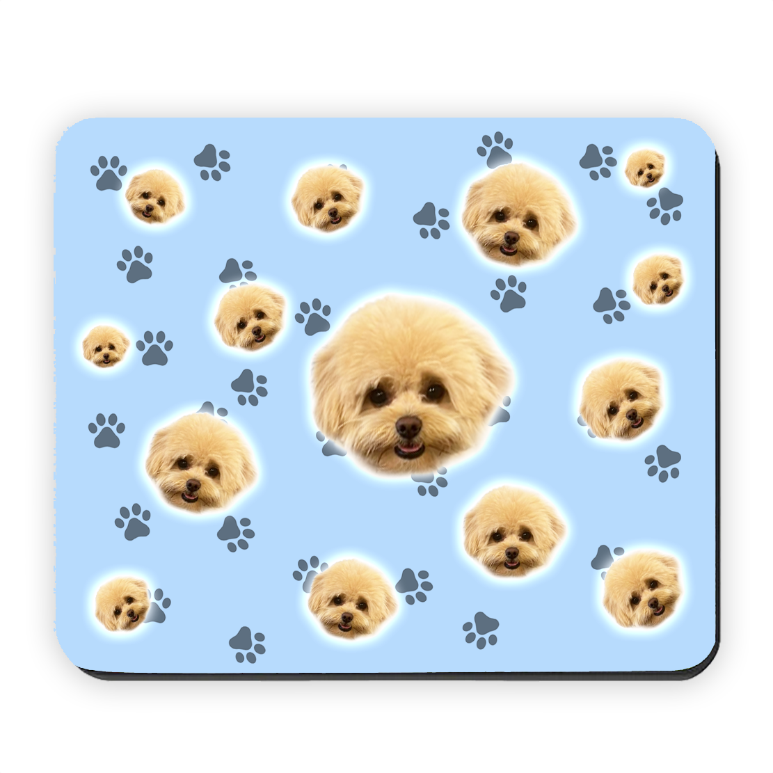 הכלב שלי על פד לעכבר