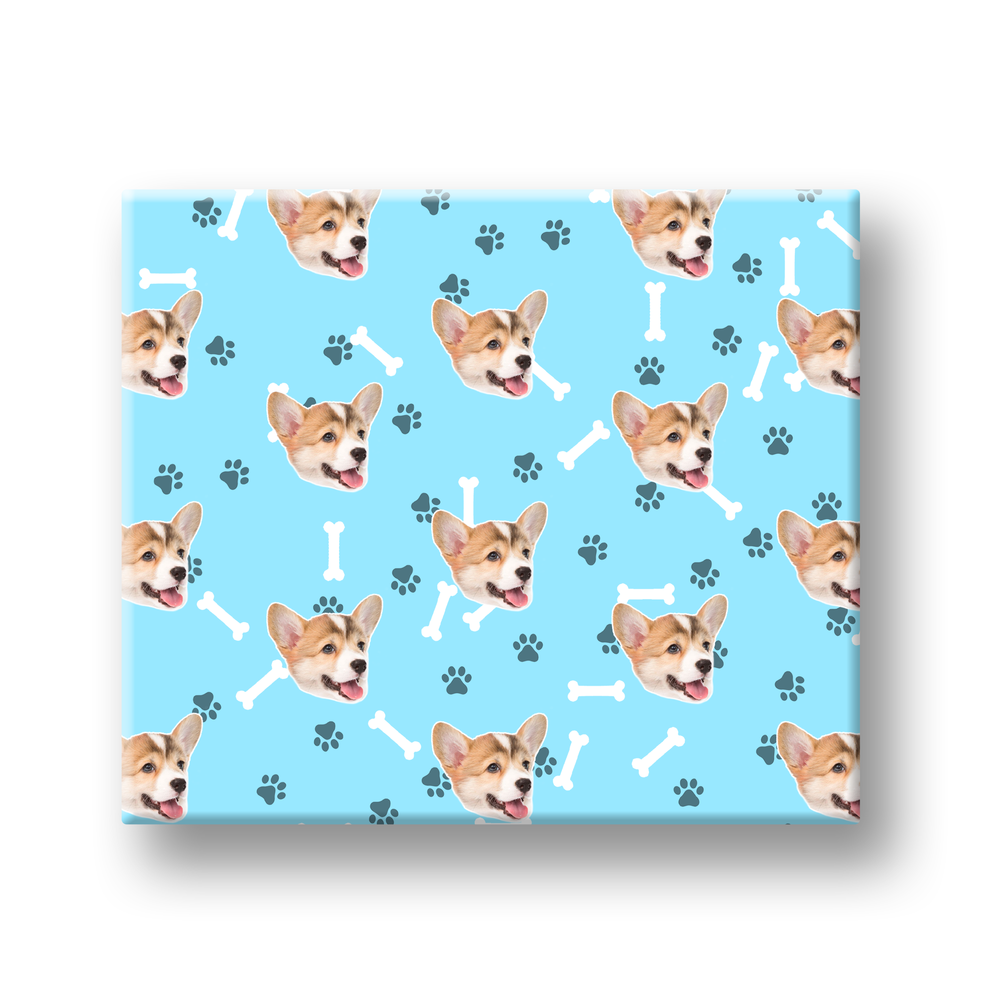 מארז לחברים הפרוותיים