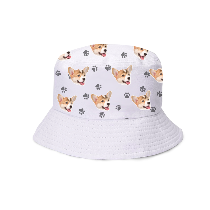 מארז לחברים הפרוותיים