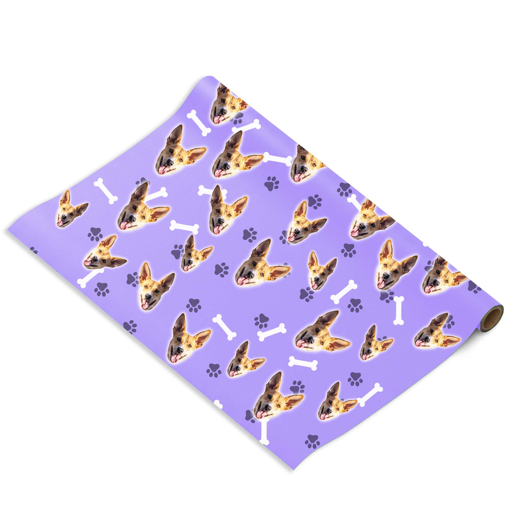 הכלב שלי על נייר עטיפה