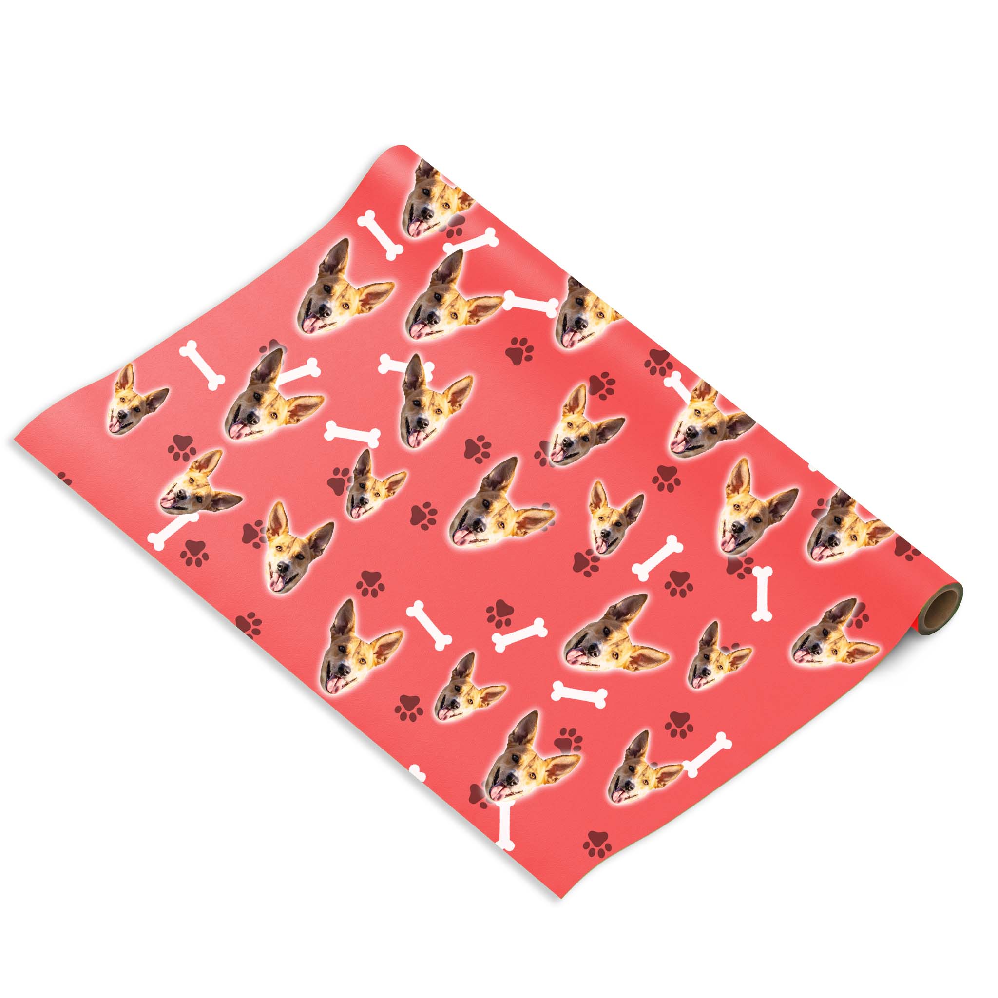 הכלב שלי על נייר עטיפה