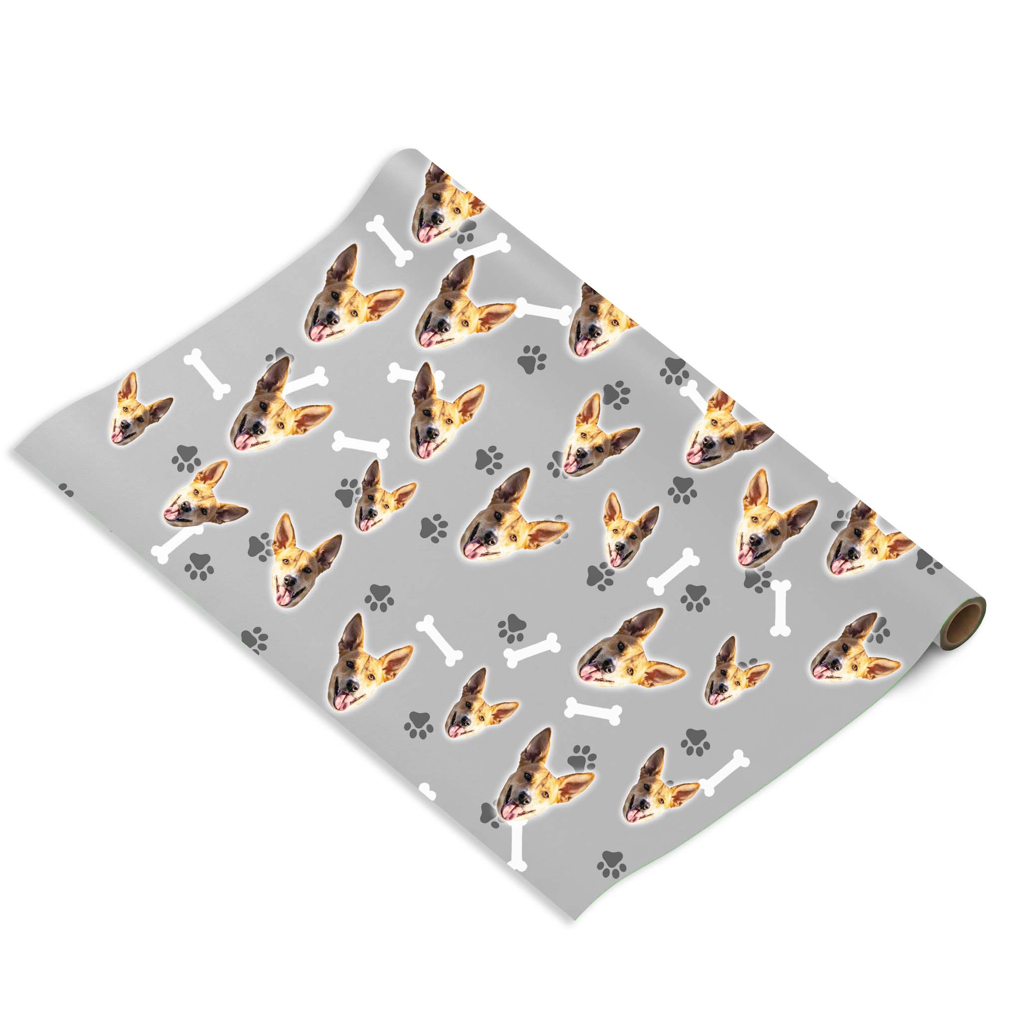 הכלב שלי על נייר עטיפה