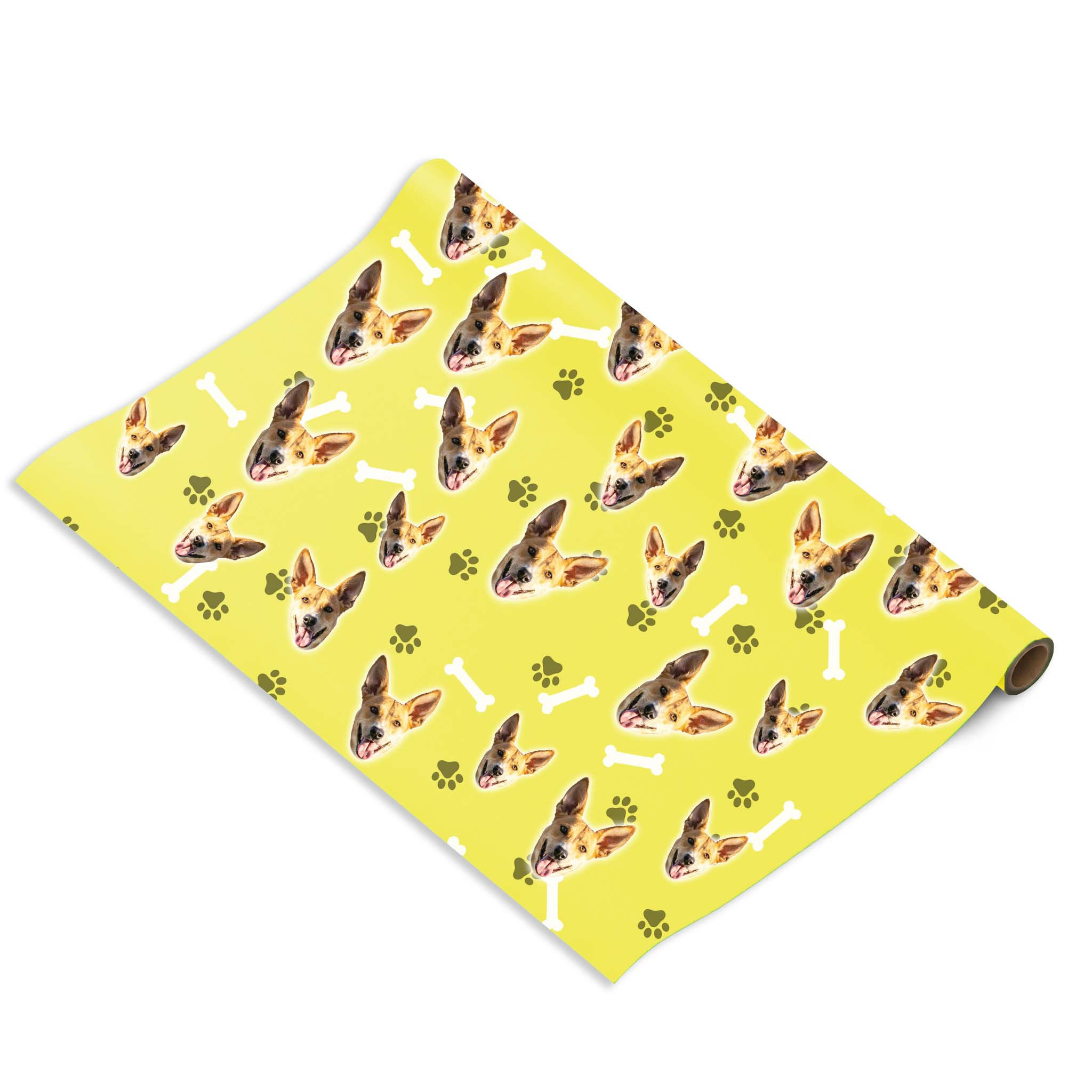 הכלב שלי על נייר עטיפה