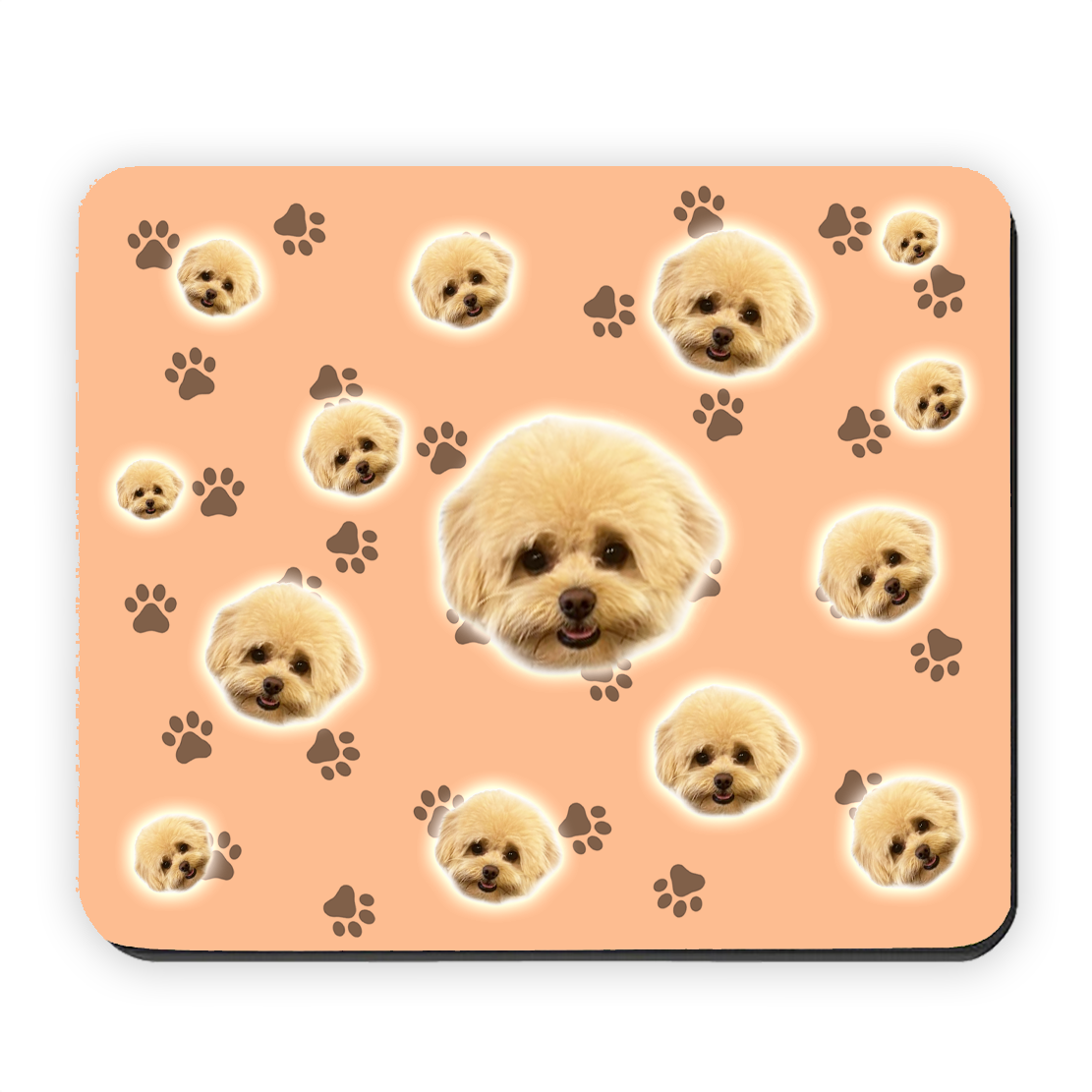 הכלב שלי על פד לעכבר