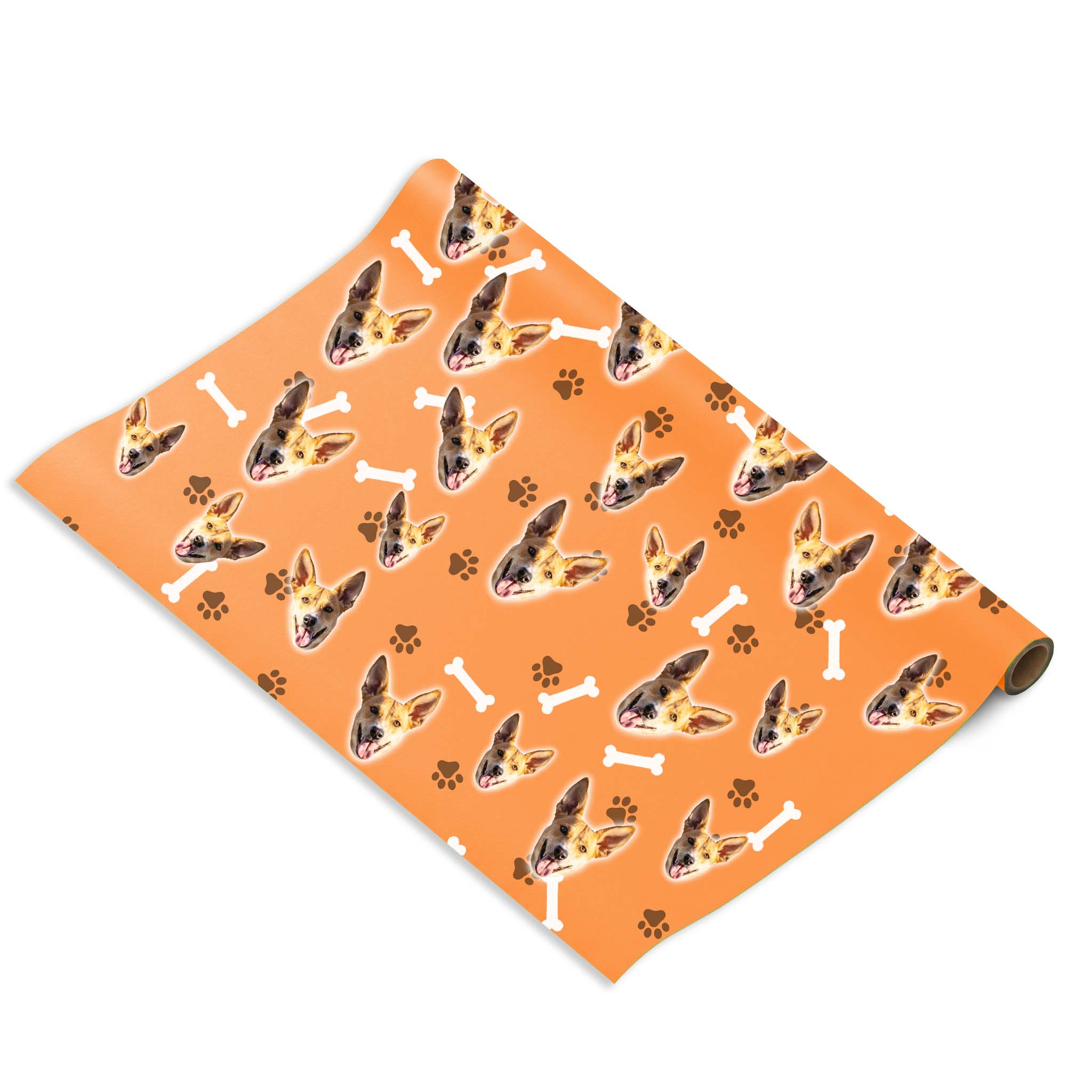 הכלב שלי על נייר עטיפה