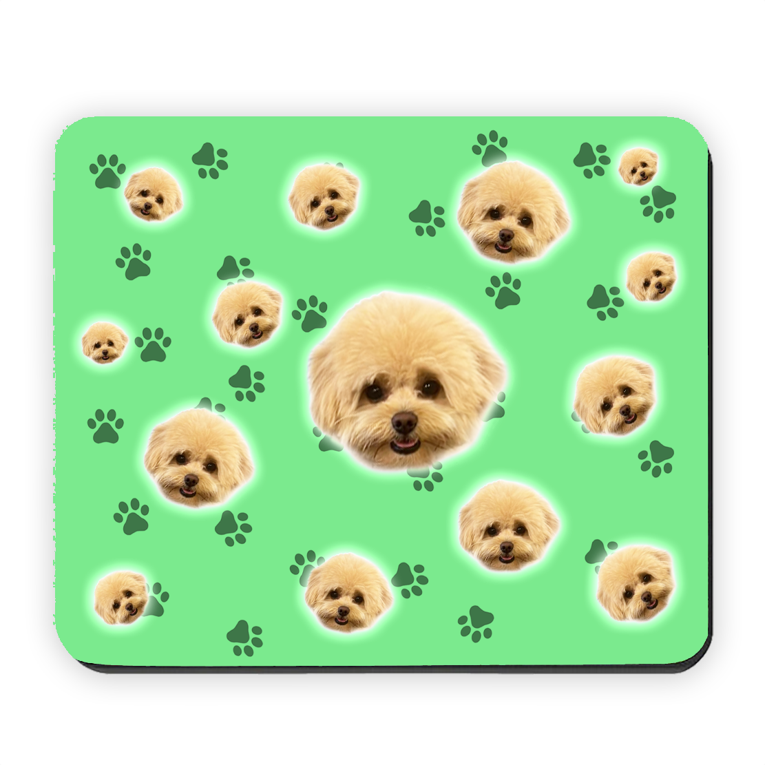 הכלב שלי על פד לעכבר