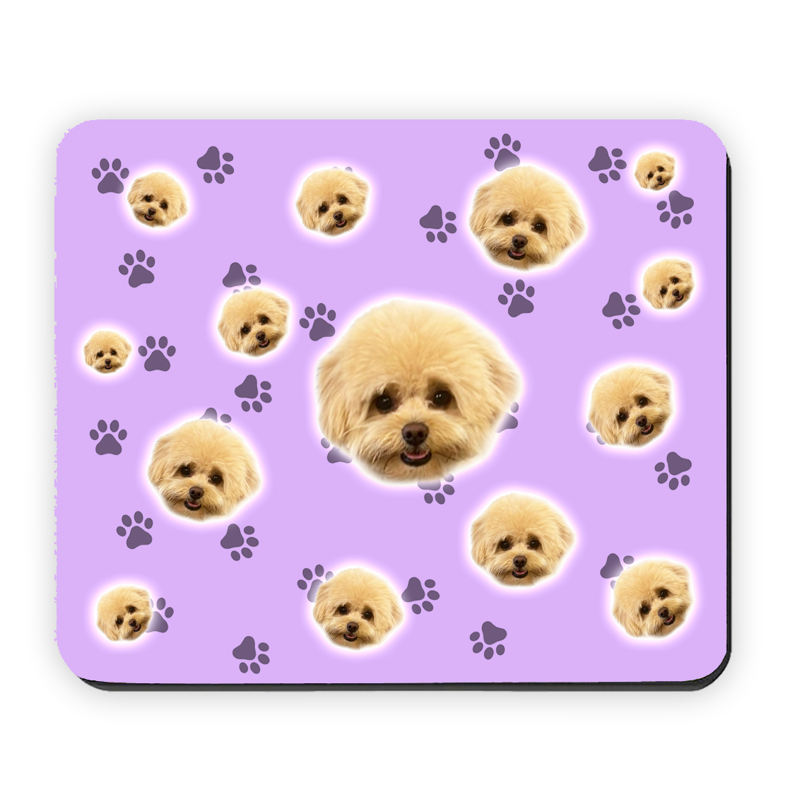 הכלב שלי על פד לעכבר