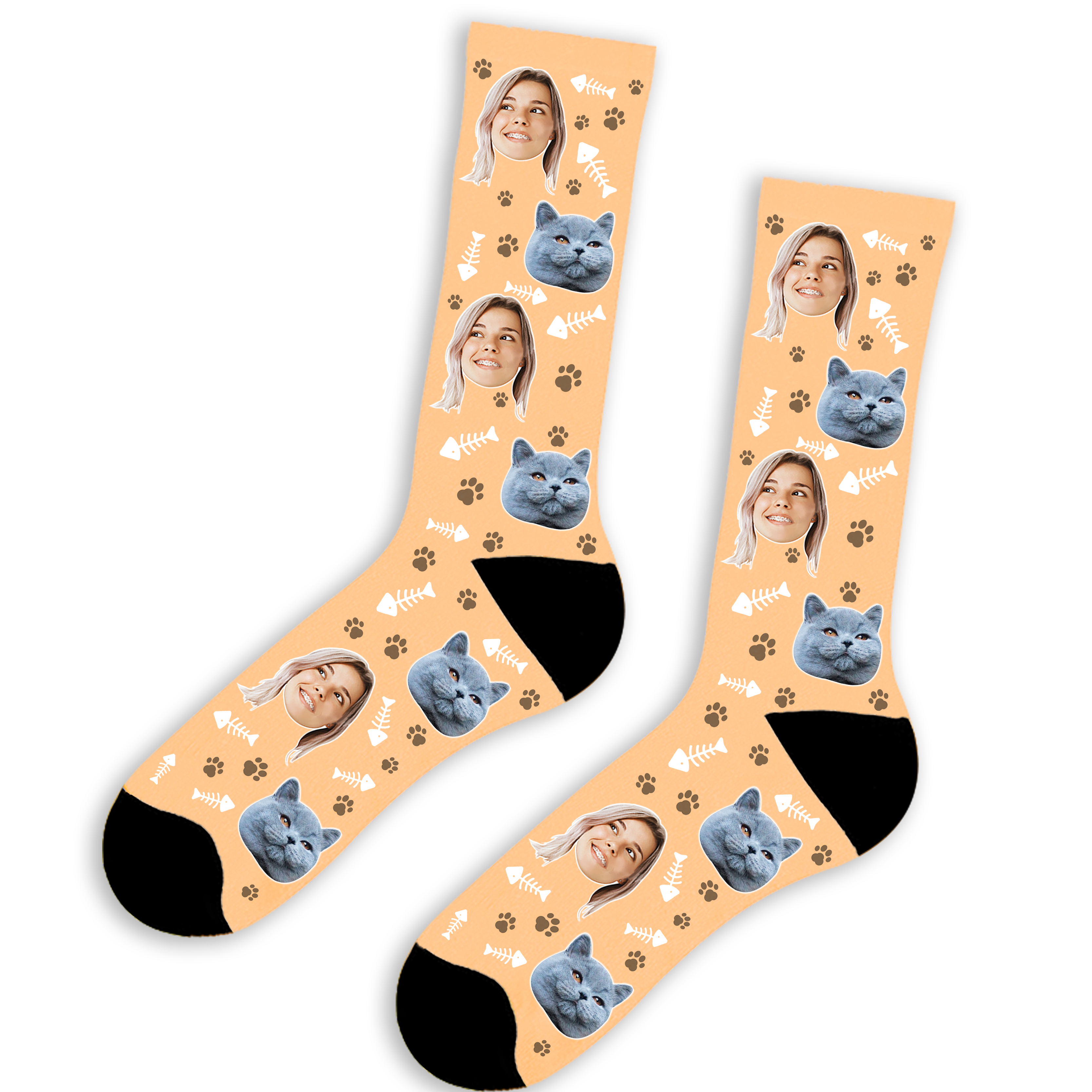 חברי החתולי ואני