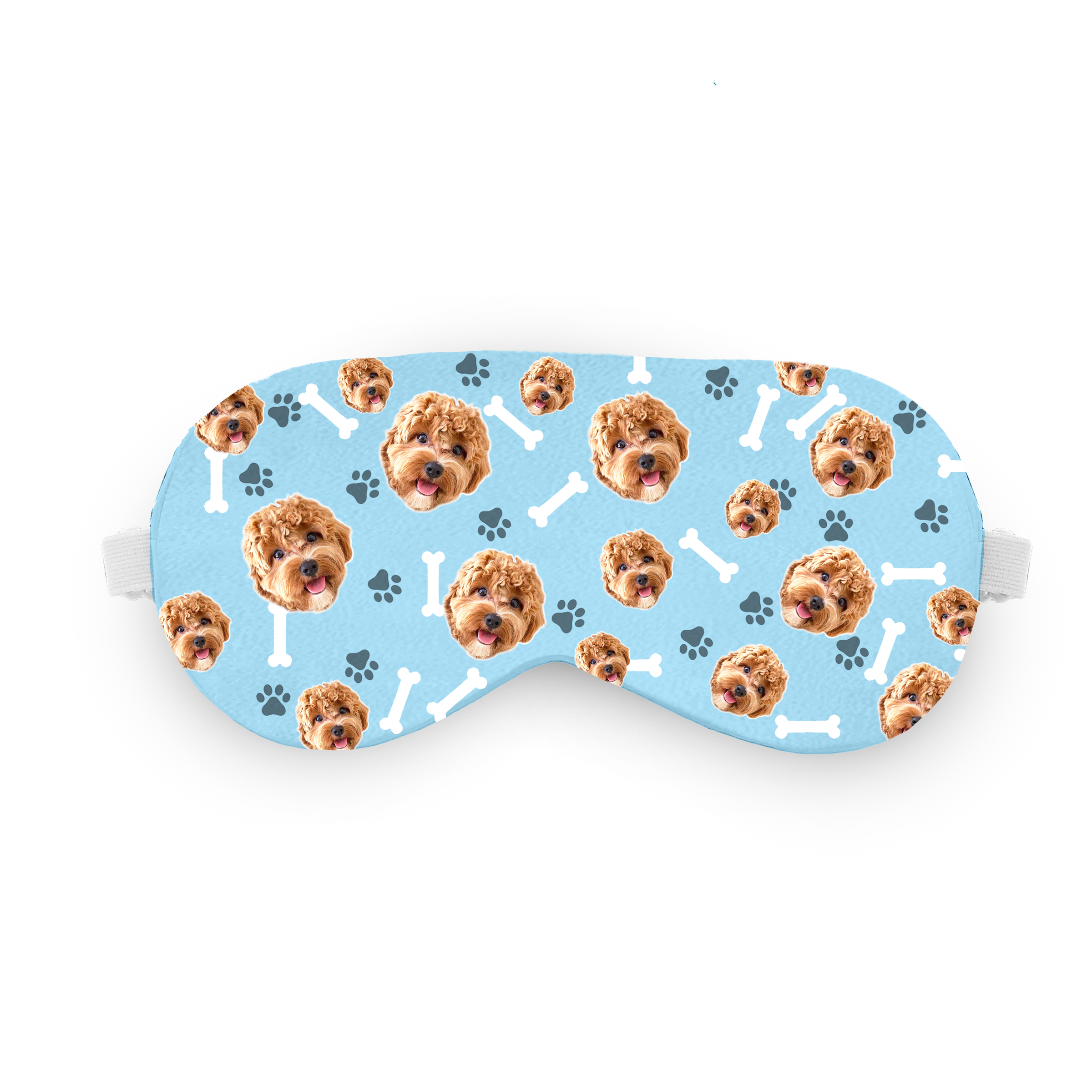 מארז לחברים הפרוותיים