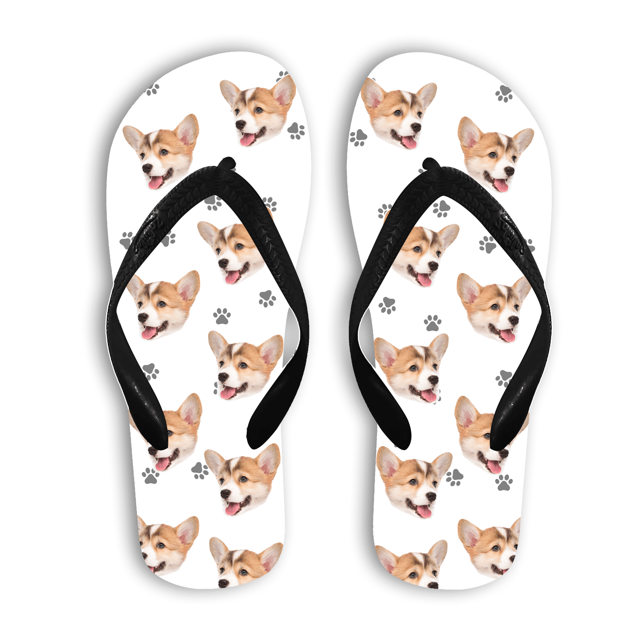 הכלב שלי על כפכפים - מתנה לים ולבריכה