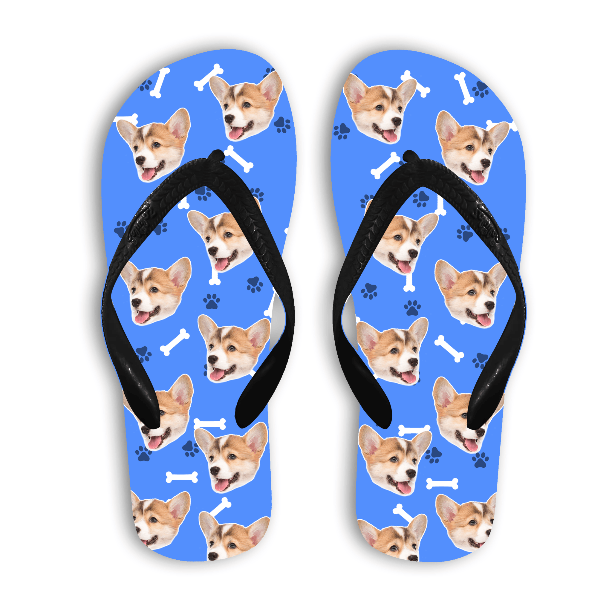 הכלב שלי על כפכפים - תמונת המוצר