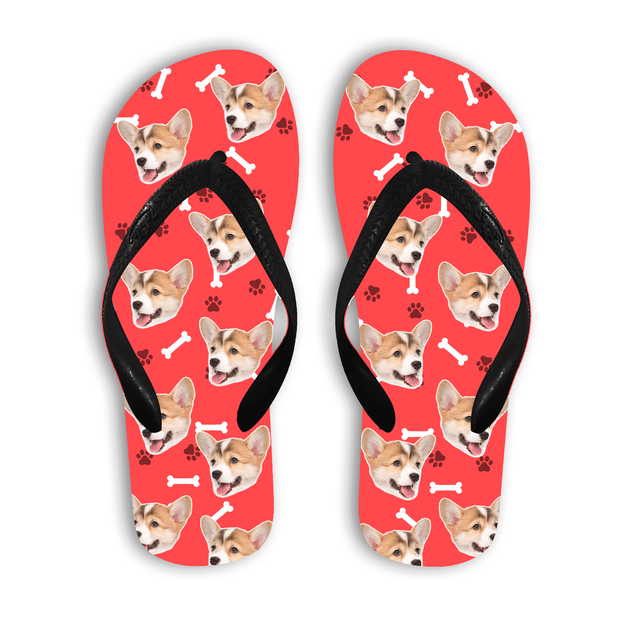 הכלב שלי על כפכפים - כפכפים נוחים לקיץ