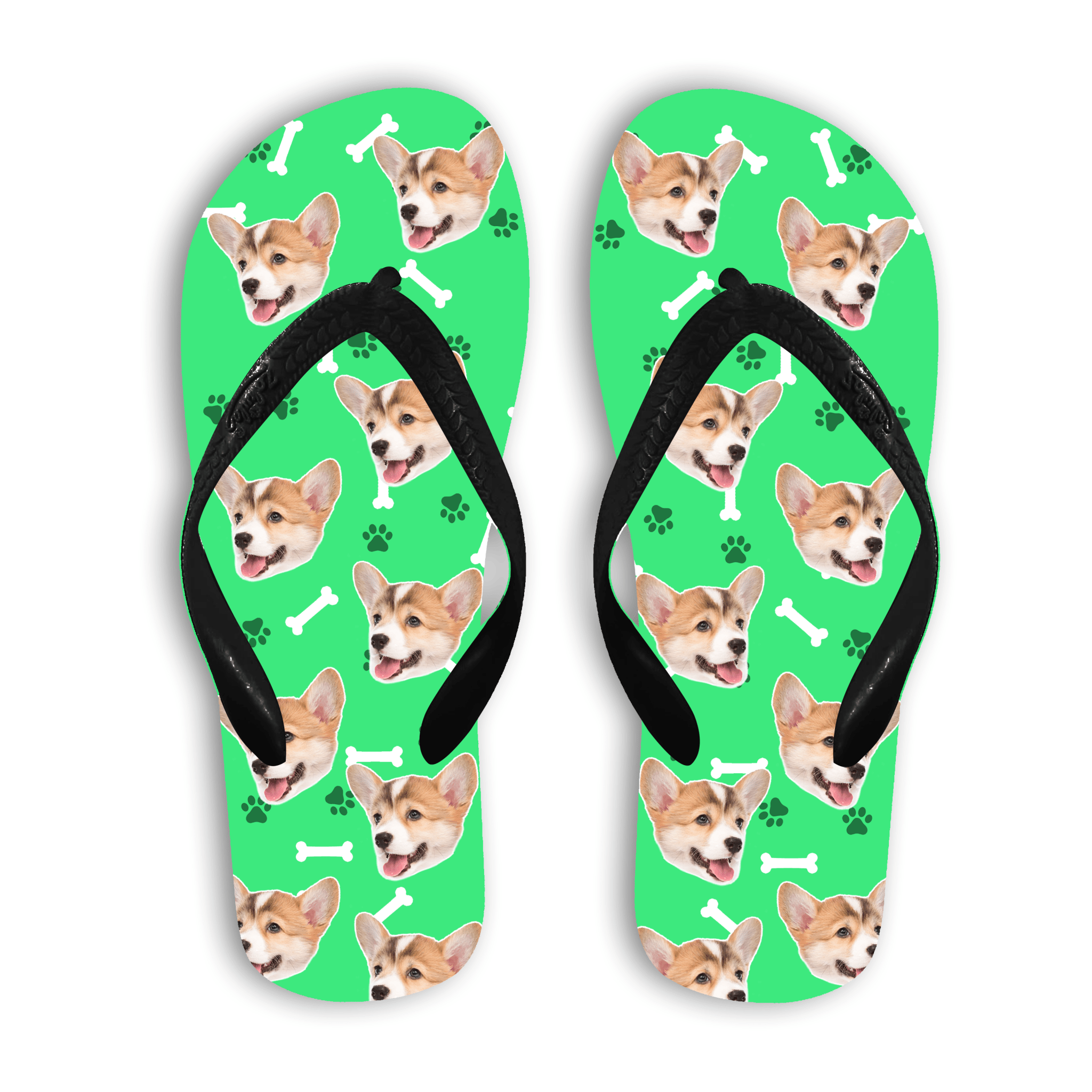 הכלב שלי על כפכפים - כפכפים נוחים לקיץ