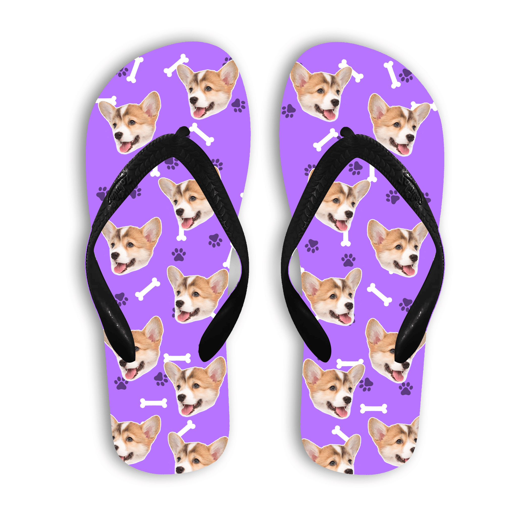 הכלב שלי על כפכפים - תמונת המוצר